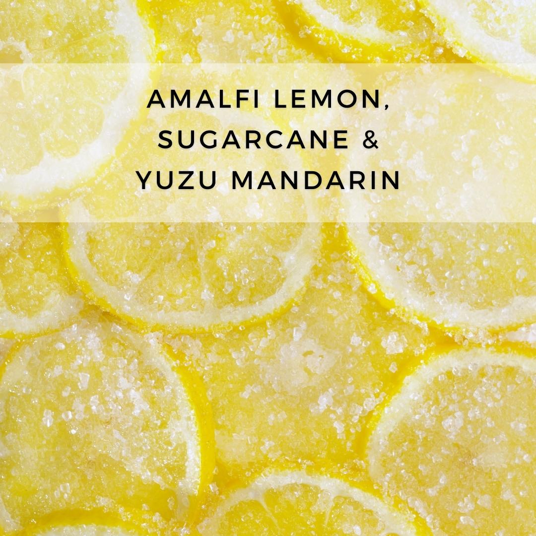 sugared lemon | soy wax candle